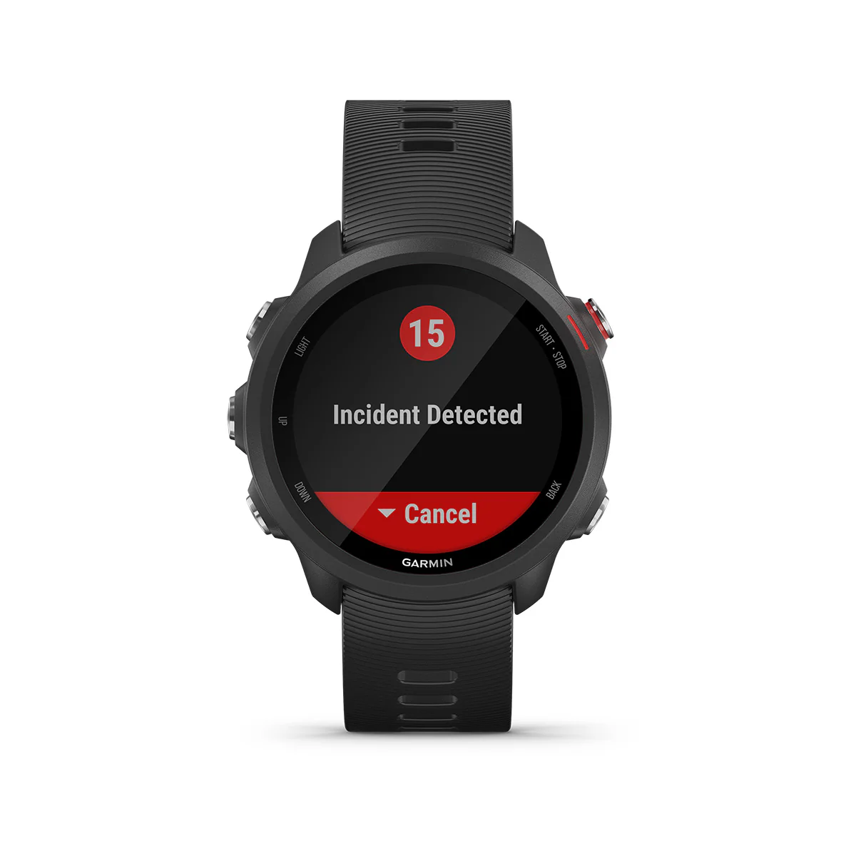 Garmin Forerunner 245 Music - Image 12