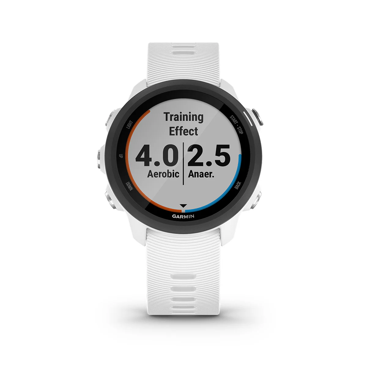 Garmin Forerunner 245 Music - Image 22