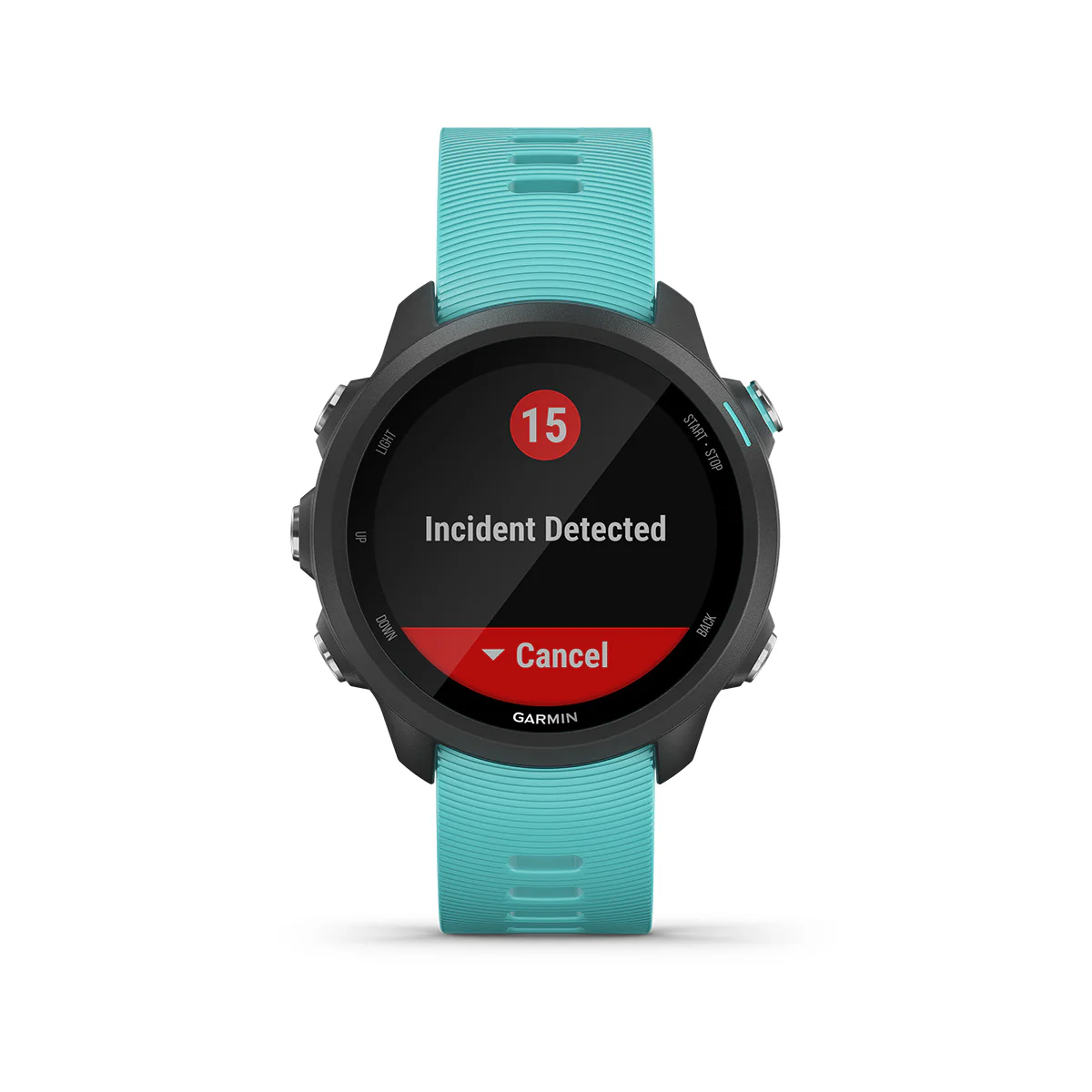 Garmin Forerunner 245 Music - Image 3