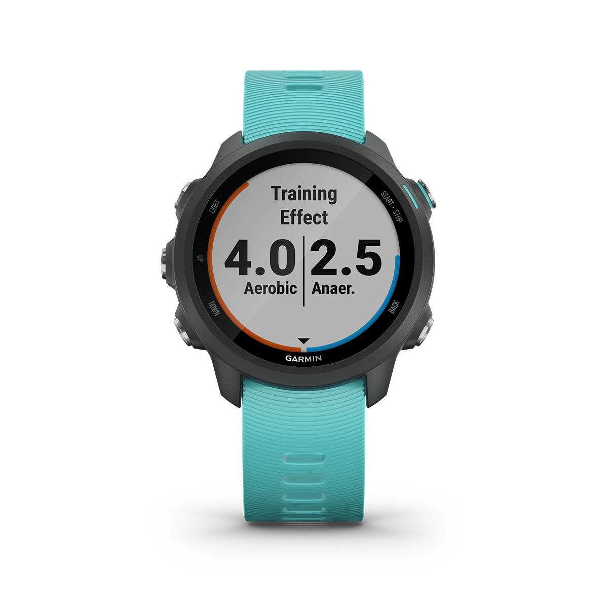 Garmin Forerunner 245 Music - Image 4
