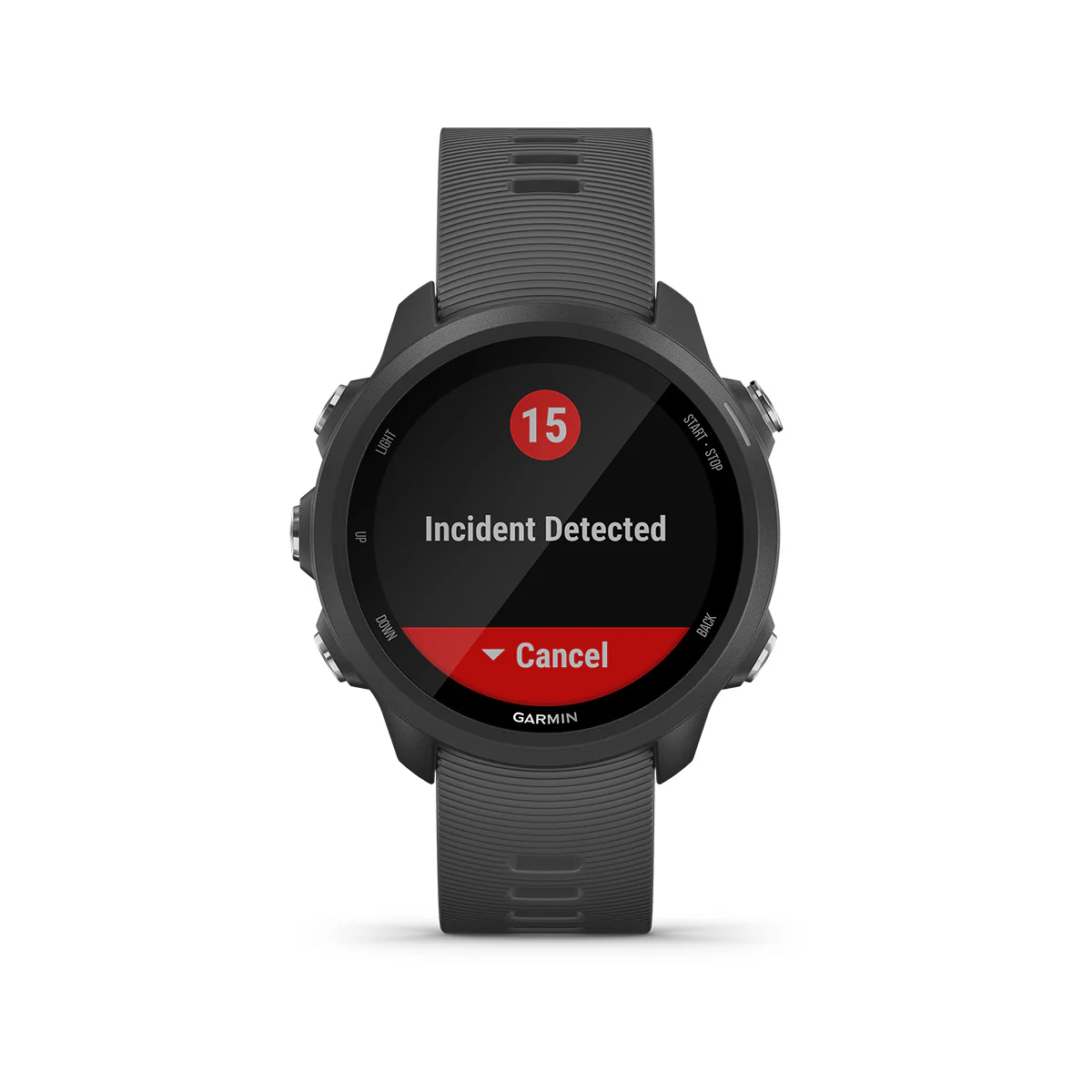 Garmin Forerunner 245 - Image 11