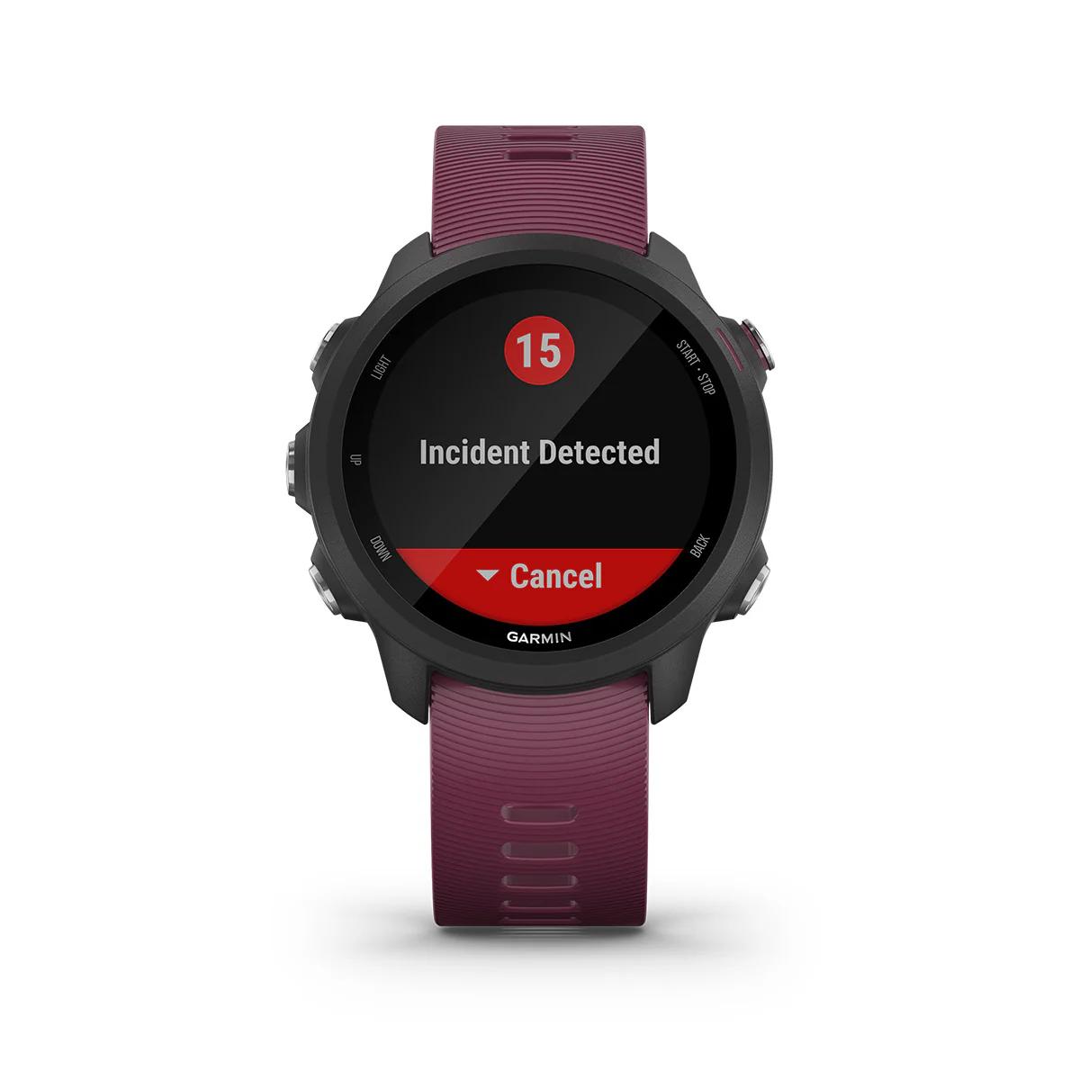 Garmin Forerunner 245 - Image 3