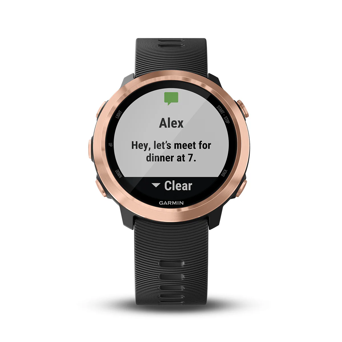 Garmin Forerunner 645 Music - Image 16
