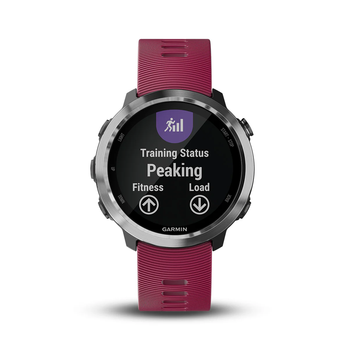 Garmin Forerunner 645 Music - Image 23