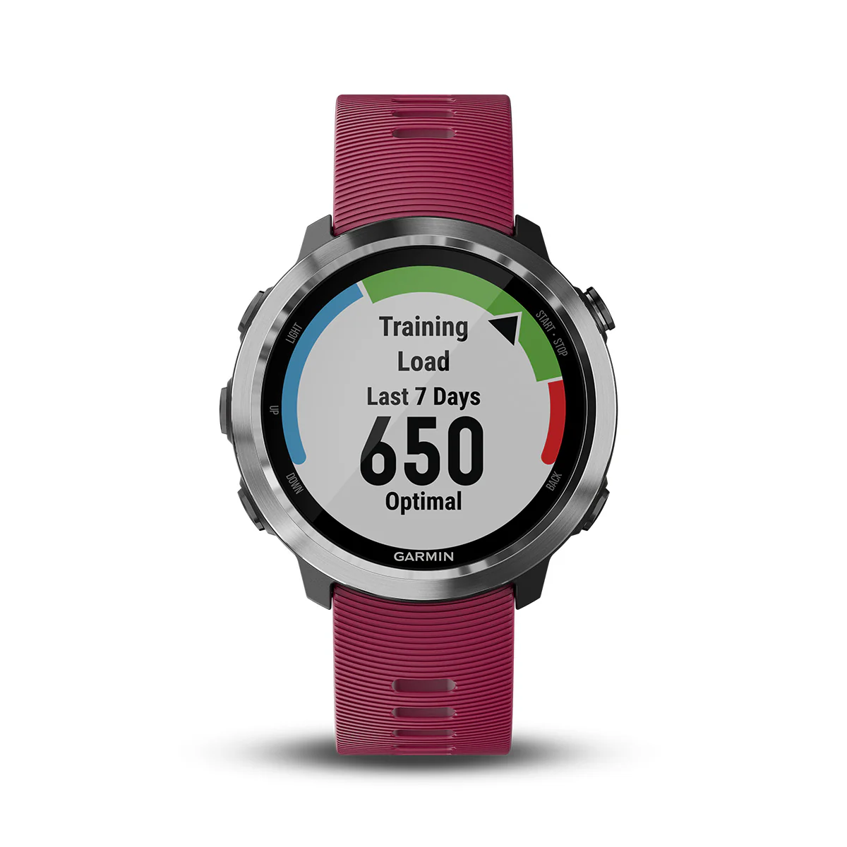 Garmin Forerunner 645 Music - Image 25