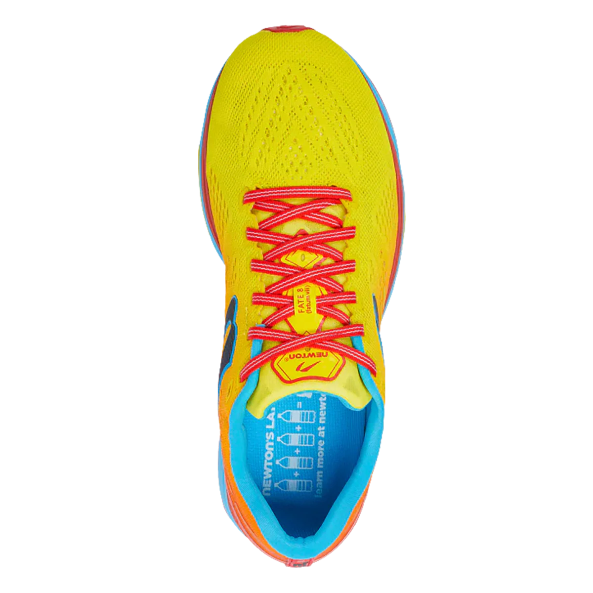 Newton Fate 8 - Image 7