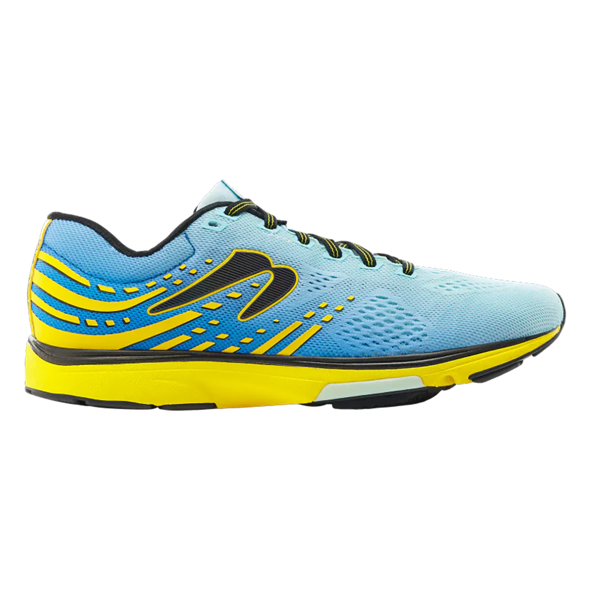 Newton Kismet 8