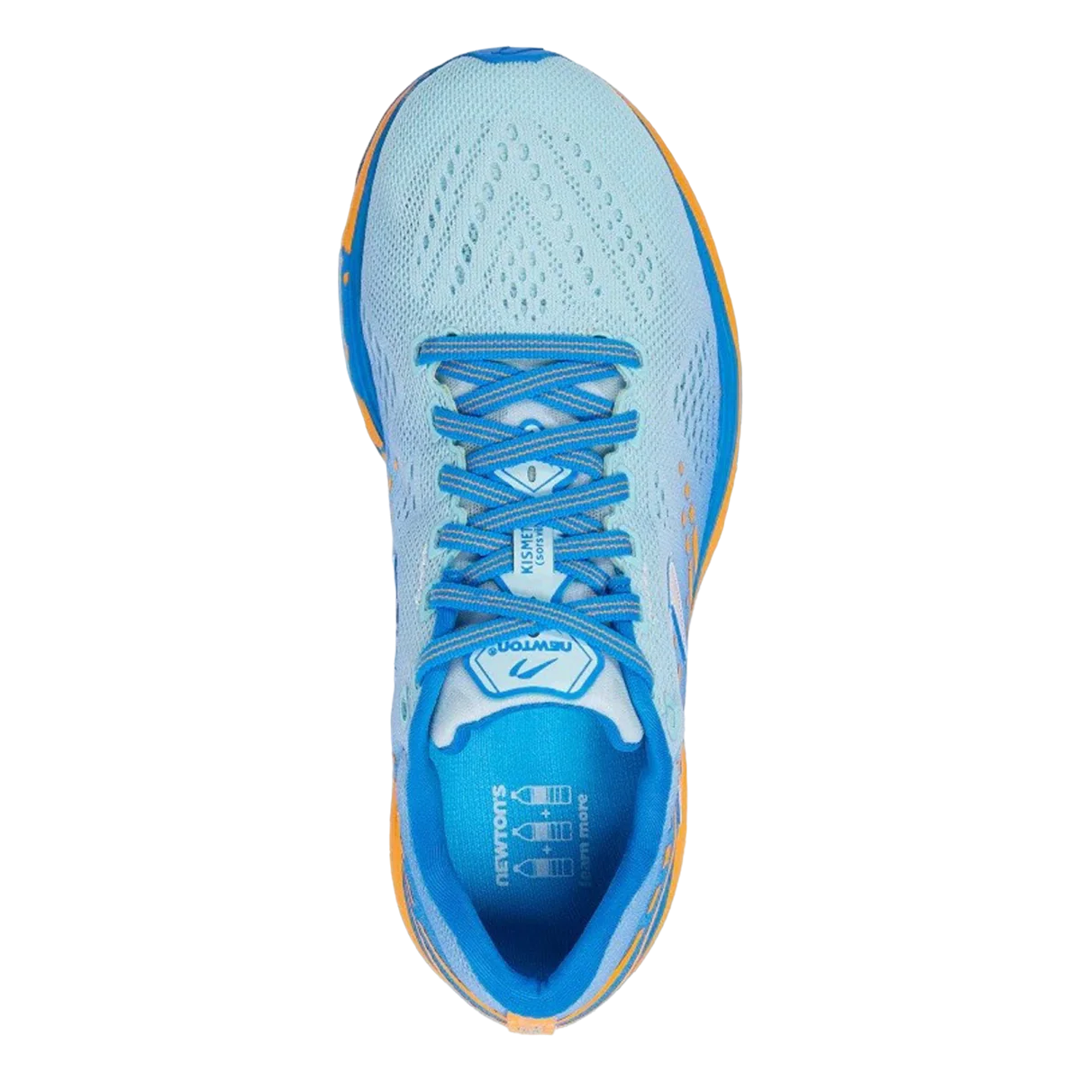 Newton Kismet 8 - Image 3