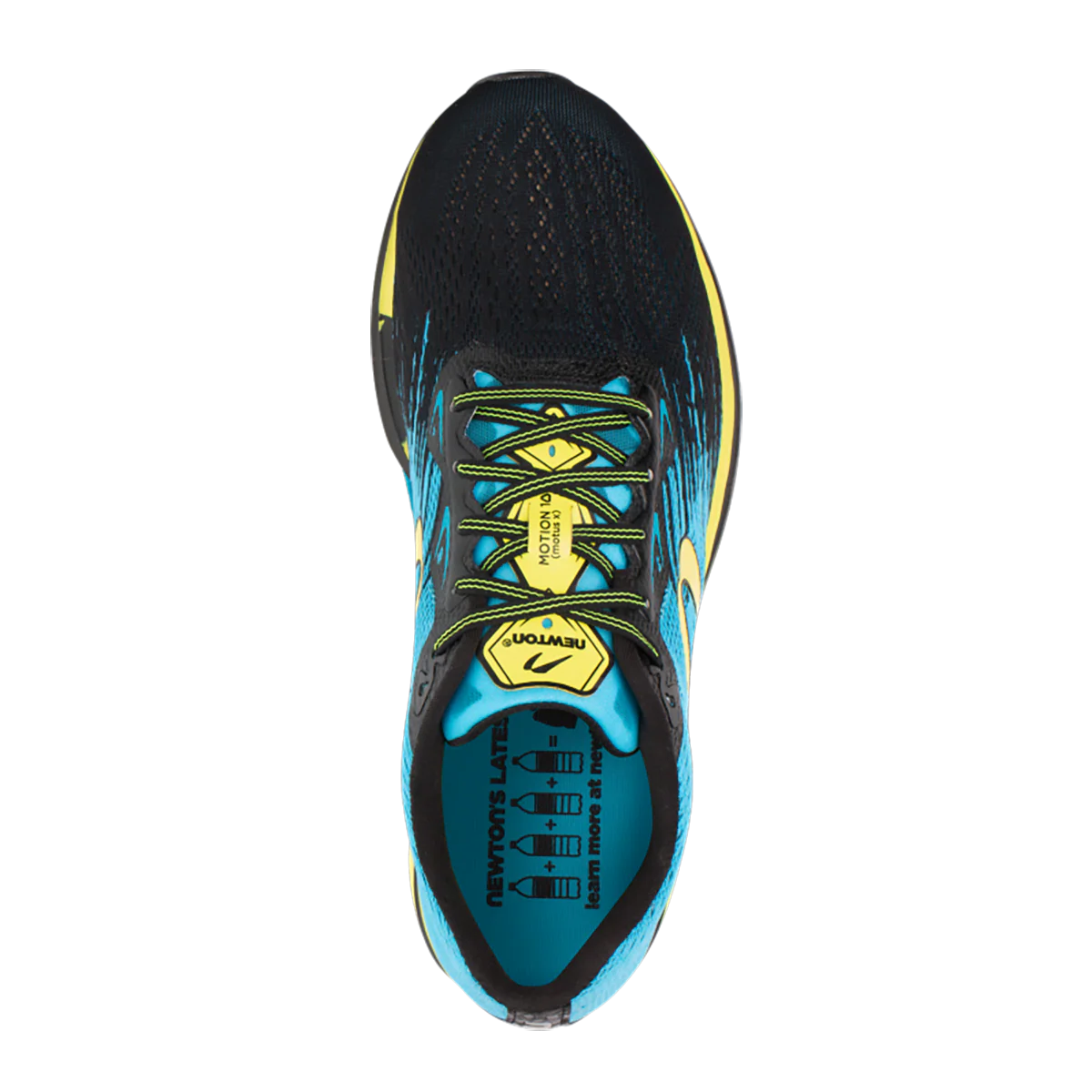 Newton Motion 10 - Image 7