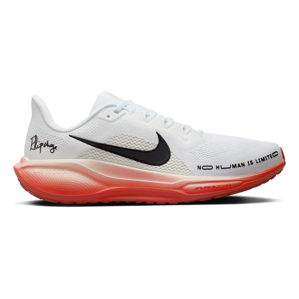 Nike Air Zoom Pegasus 41 EK