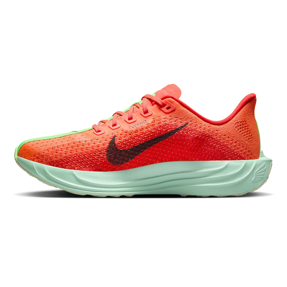 Nike Pegasus Plus - Image 14